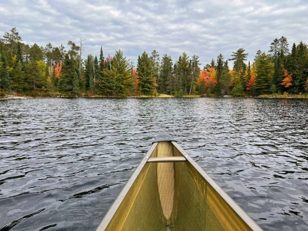 View of the fall colors from inside a canoe in the Boundary Waters near Ely MN.