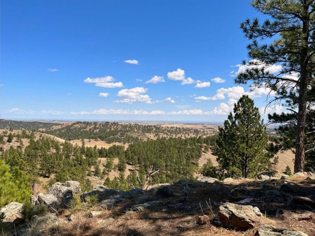 View of the Badlands from the Rankin Ridge Trail at Wind Cave National Park