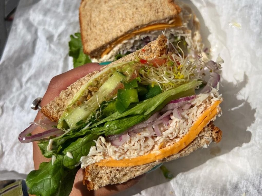 Close up view of a The Veggie sandwich with turkey added from Eau Claire Cheese and Deli.
